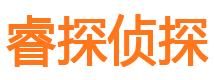 东川市侦探